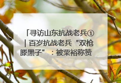 寻访山东抗战老兵①｜百岁抗战老兵“双枪滕黑子”：被粟裕称赞的“孤胆英雄”